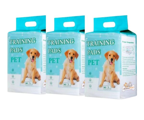 5 Promoción 3 paquetes pañales de piso talla L