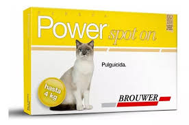 Power Spot On