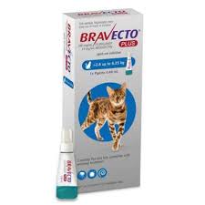 Bravecto Plus Gatos Pipeta 2.8 a 6.25 kg