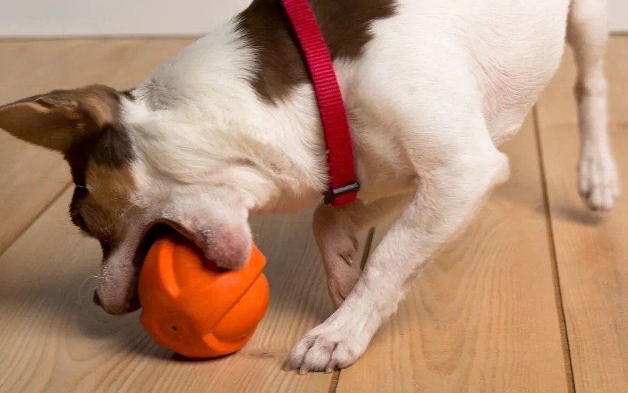 Hartz Duraplay Ball Dog Toy Small