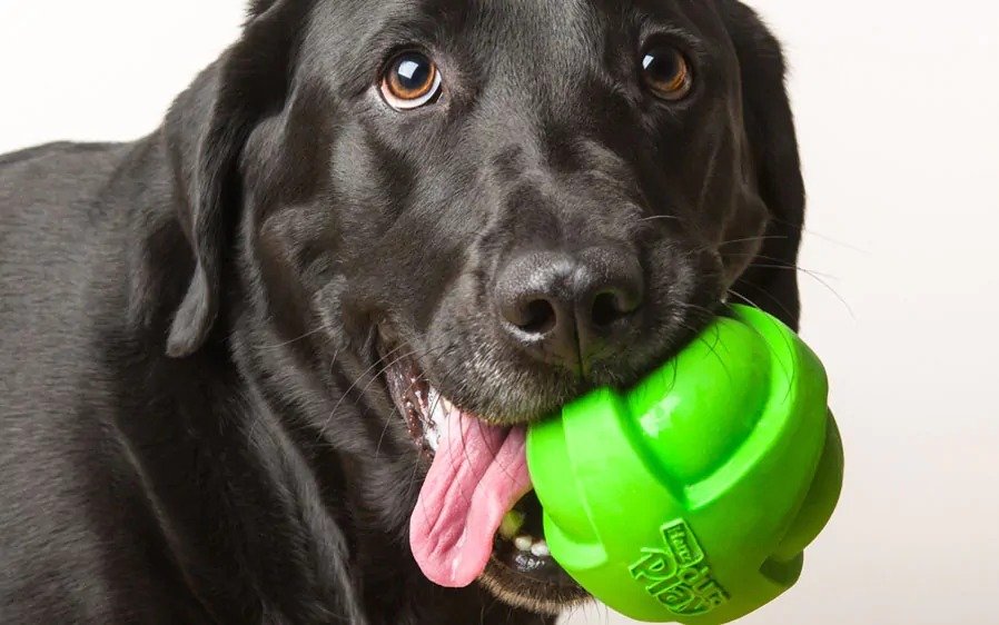 Hartz Duraplay Ball Dog Toy Large