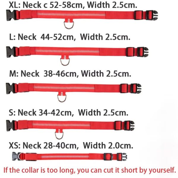 Collar Led