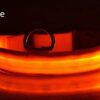 Collar Led