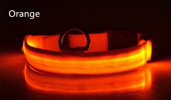 Collar Led