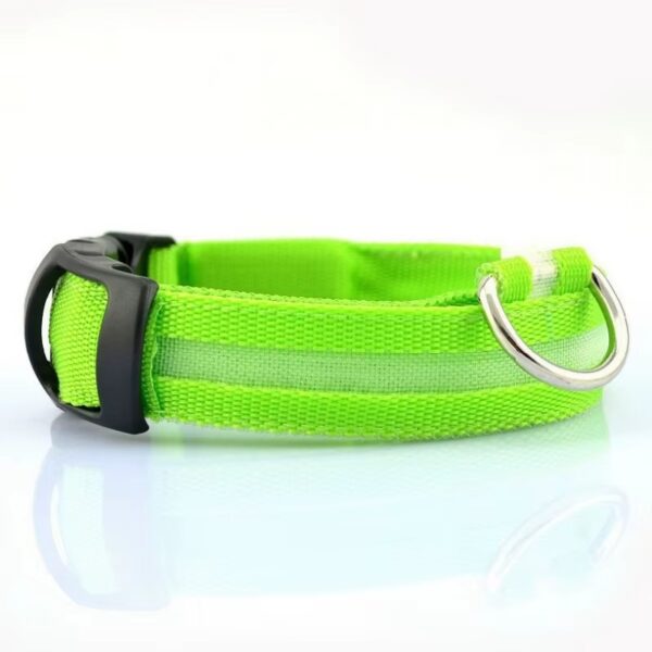 Collar Led