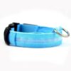 Collar Led