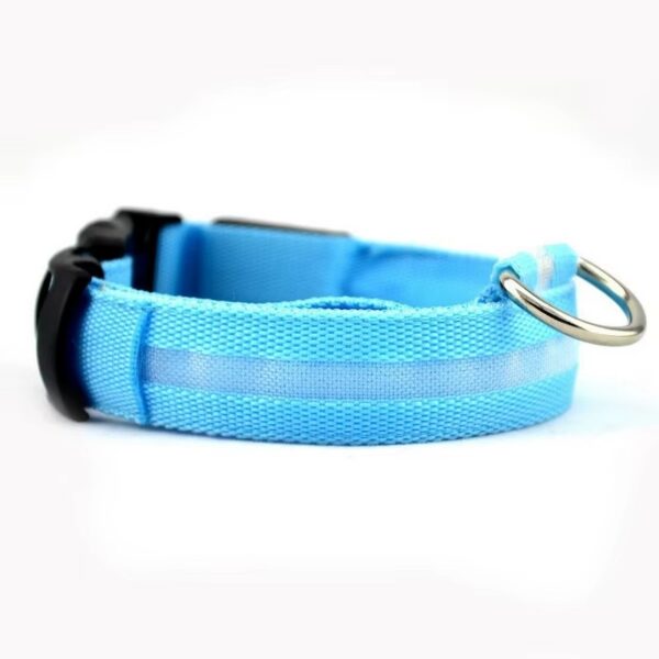 Collar Led