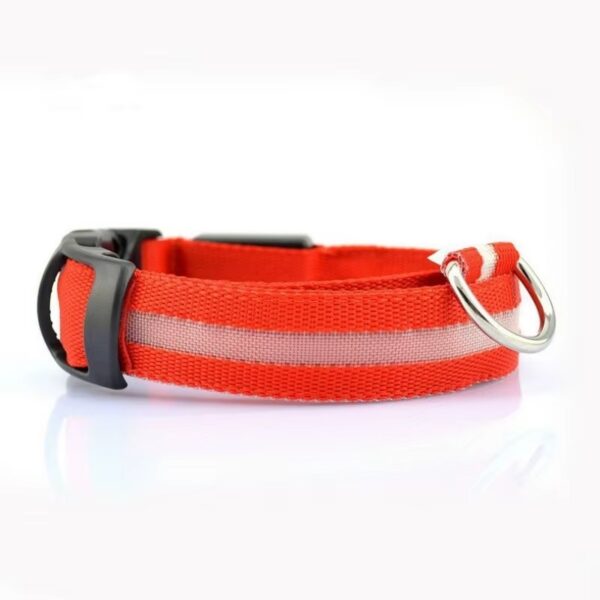 Collar Led