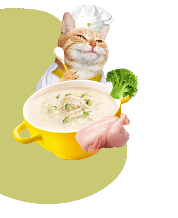 Moochie Caldo Cremoso Pollo y Brócoli 40g