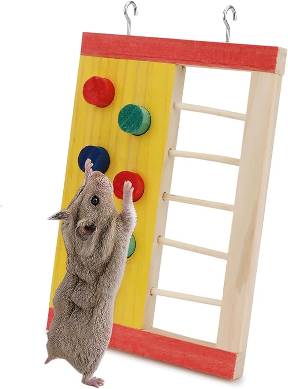 61RJXk4ROhL._AC_SX569_ Pared de Madera Para Hamster