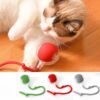 Pelota Inteligente Con Soga