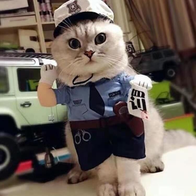 Disfraz Policía