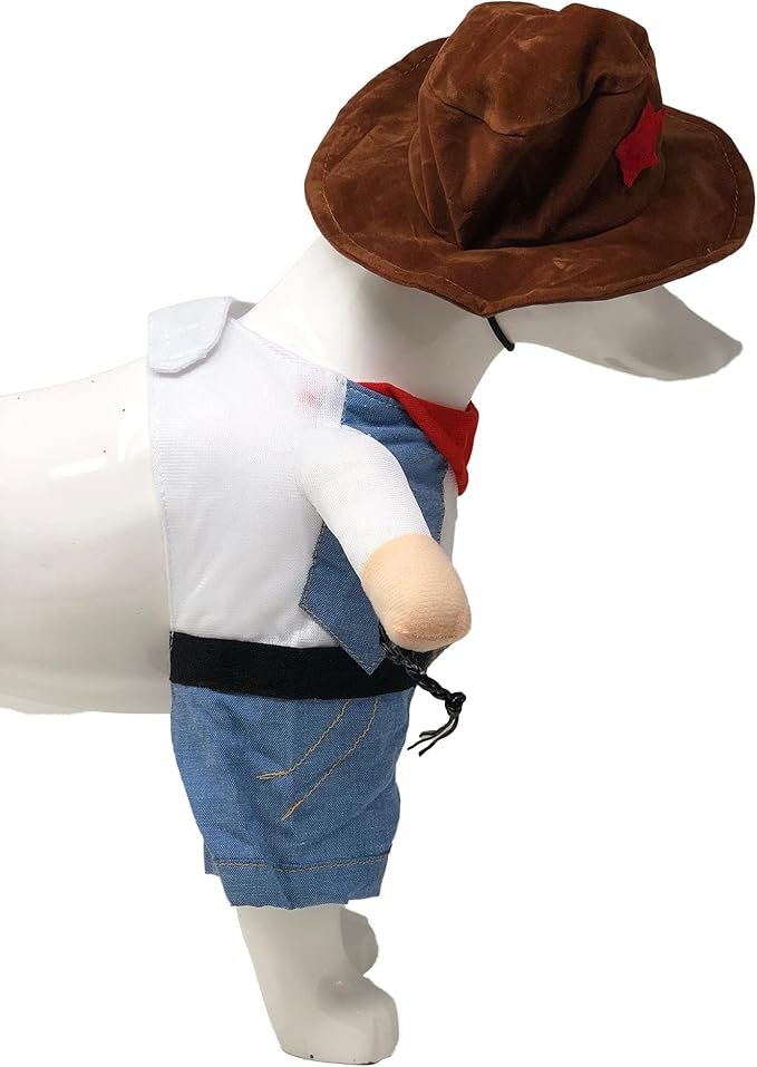 Disfraz Vaquero