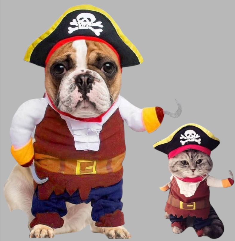 Disfraz Pirata