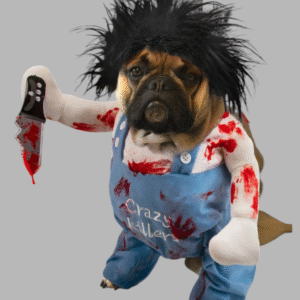 Disfraz Crazy Killer