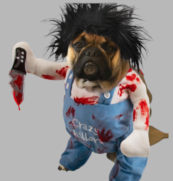 Disfraz Crazy Killer