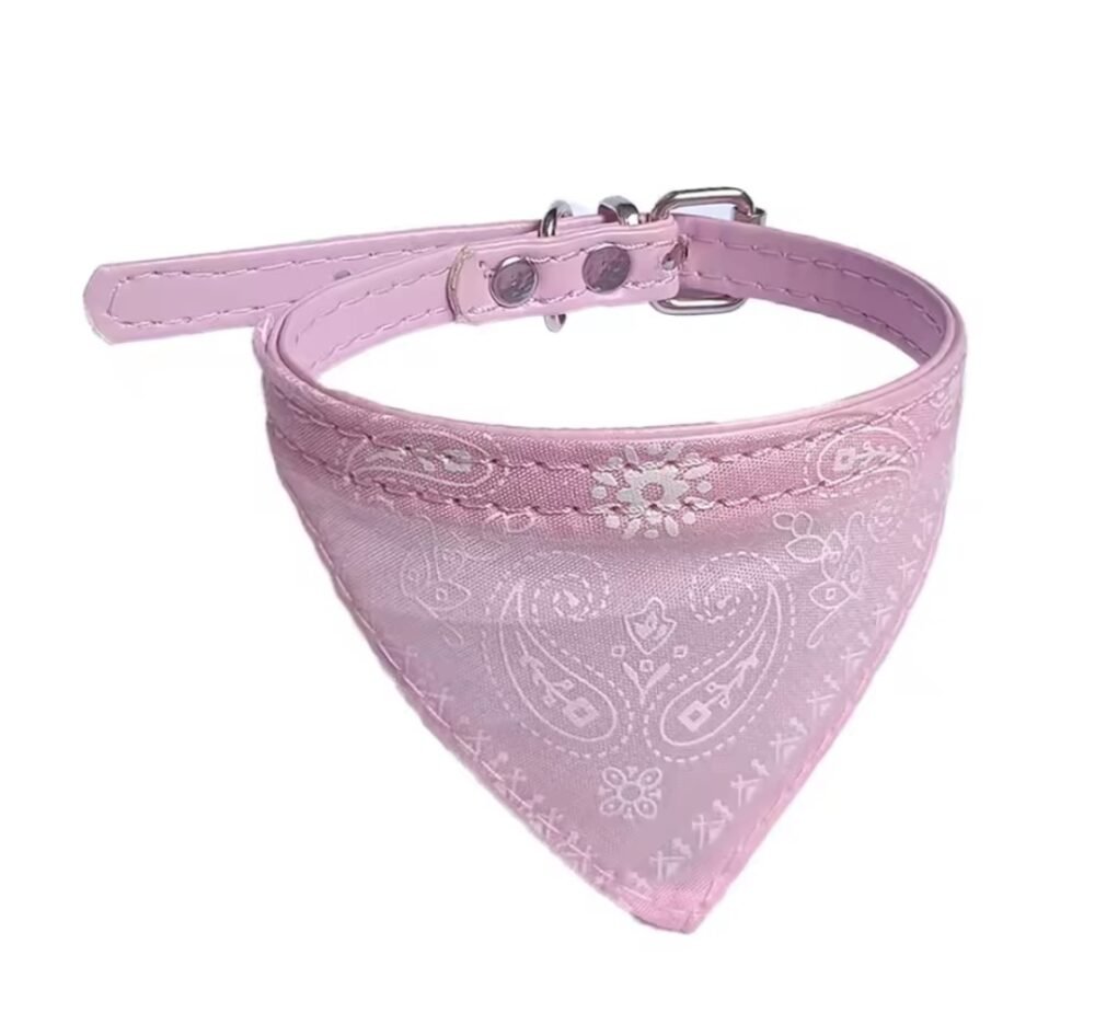 Collar con Bandana XL para Perros