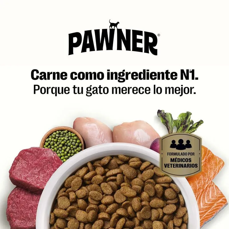 Pawner Cat Kitten Pollo Carne - Gatitos