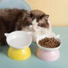 Comedero Elevado de Cerámica para Gatos