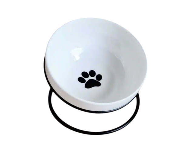 Plato Elevado con Base de Metal