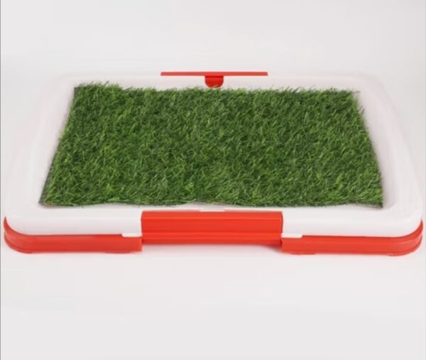 Baño Ecológico Césped y Bandeja 63x48x7 cm
