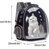 Mochila Transportadora Con Cápsula y Diseño